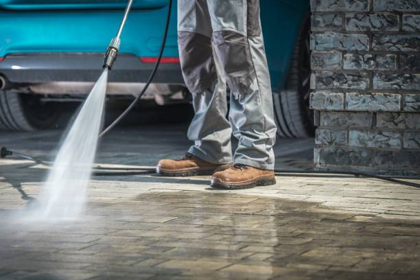 Best Building Exterior Washing  in Cokato, MN