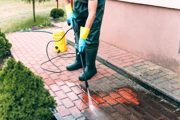 Best Restaurant Pressure Washing  in Cokato, MN