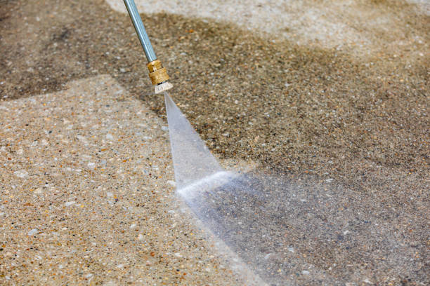 Best Sidewalk and Walkway Cleaning  in Cokato, MN